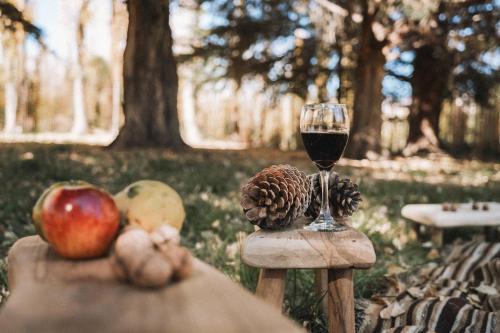 a glass of wine sitting on a wooden table with an apple andorns at Valle Andino in Uspallata