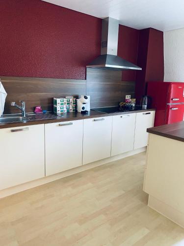Kuchyň nebo kuchyňský kout v ubytování Hotel Rheinblick