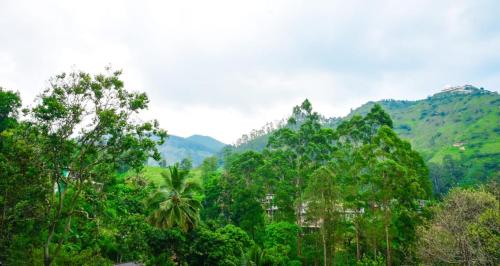un bosque de árboles con montañas en el fondo en Liyon Hotel, en Ella