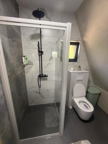 a bathroom with a shower and a toilet at Vikendica Sofijina Luka in Slatina Varoš
