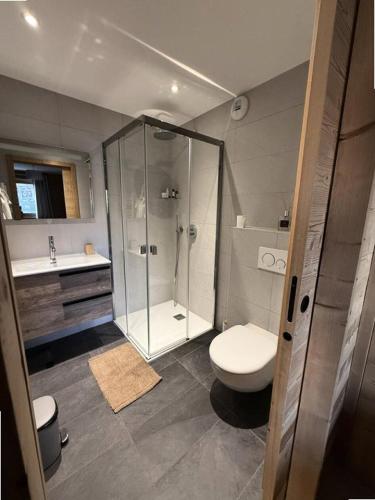 une salle de bain avec une douche, des toilettes et un lavabo dans l'établissement Résidence Christina - Appartement 4 PIECES + GARAGE/SKIS AUX PIEDS/WIFI MAE-3551, à Huez