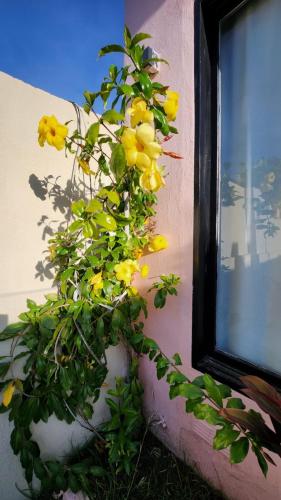 Φωτογραφία από το άλμπουμ του Las Mañanitas Casa Hotel σε Parana