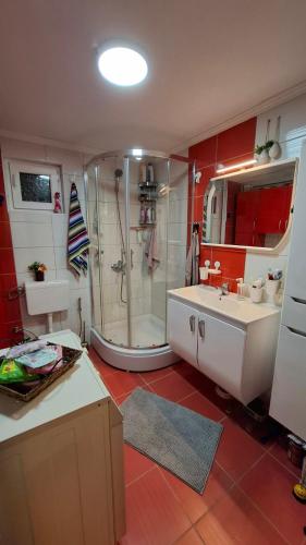 a bathroom with a shower and a sink at Vikendica Weekend story Tuzla in Gornja Tuzla