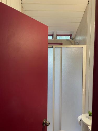 QuiñicabeにあるNaturaVista Cabins Matanza 13kmの赤い壁のバスルーム(シャワー付)