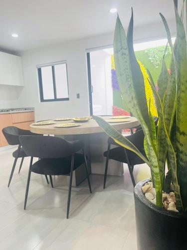 a dining room with a table and a potted plant at Casa de los Deportes in Culiacán