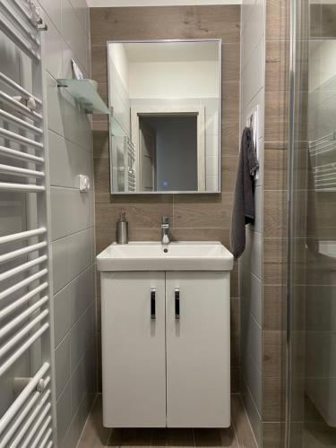 Vannituba majutusasutuses Apartmán Hojsova Stráž