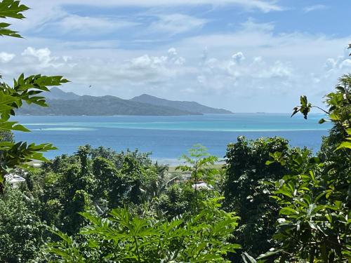 Gallery image of Maison en bois in Uturoa