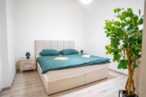 Cozy Main Square Apartment II with Breakfast