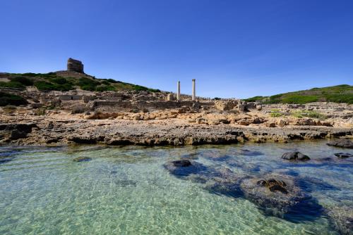 Φυσικό τοπίο κοντά σε αυτό το διαμέρισμα