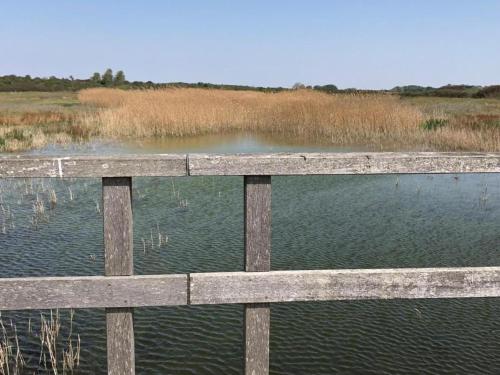 a wooden fence in front of a body of water at Luxury chalet near Ouddorp with garden in Goedereede