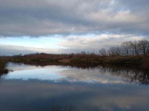 a view of a river with a cloudy sky at Farmhouse with terrace in Montfoort in Montfoort