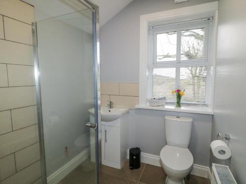 a bathroom with a toilet and a sink and a window at Ballard Cottage Annexe in Newry