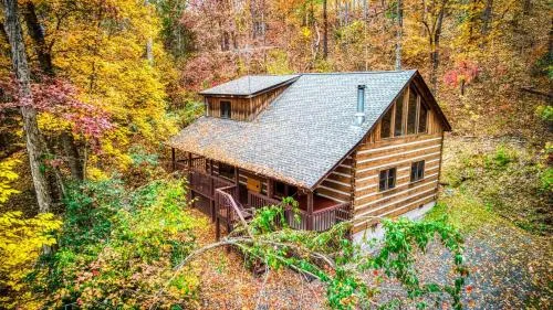 Bearly Livin by Avada Properties photo 1