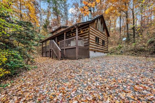 Bearly Livin by Avada Properties photo 5