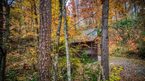 Bearly Livin by Avada Properties photo 13