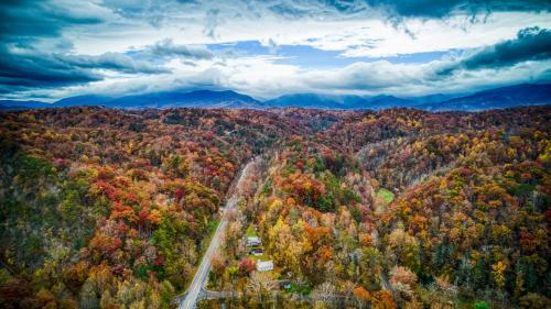 Bearly Livin by Avada Properties photo 18