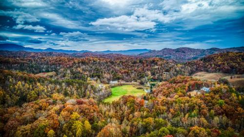 Bearly Livin by Avada Properties photo 19