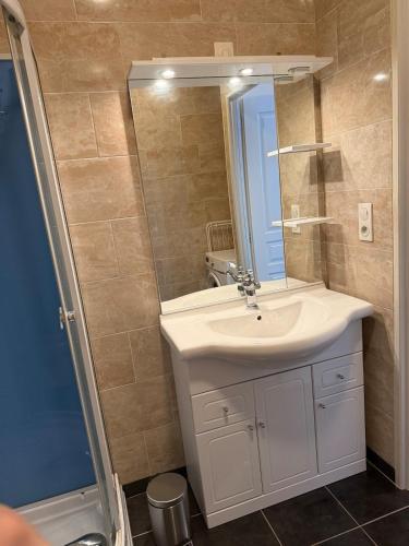 une salle de bain avec un lavabo, une douche et un miroir dans l'établissement T2 lumineux et tout équipé centre Annonay, à Annonay