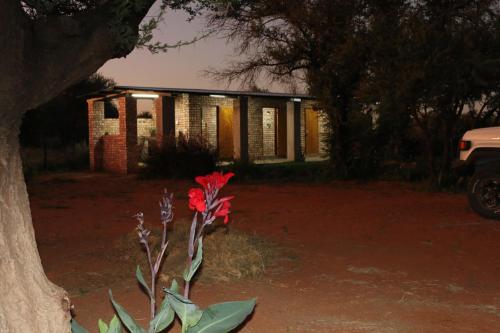 a red flower sitting in front of a house at Orpheus Inn Camping in Kaneb Pos