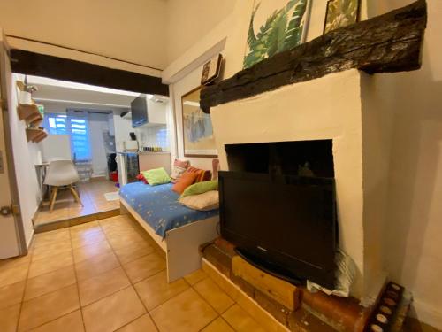 un salon avec une cheminée et une télévision dans l'établissement Aix-en-Provence Proche Thermes Sextius et Pavillon Vendôme, à Aix-en-Provence