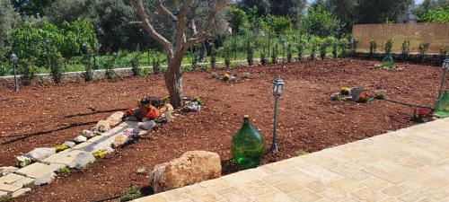 a garden with a tree and a green bottle at Antichi Saperi - Villa con piscina Cisternino in Cisternino