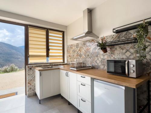 a kitchen with a counter with a microwave and a window at IL MORO sulla via del Ponte in Sellano