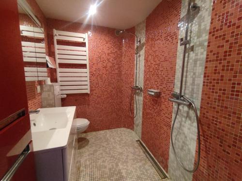 une salle de bain avec une douche, des toilettes et un lavabo dans l'établissement Appartement 17, Héliopolis O au village naturiste, au Cap d'Agde