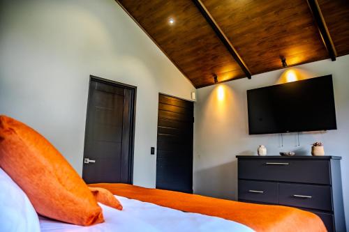 a bedroom with a bed with a flat screen tv at Villa Bosque CR in Turrialba