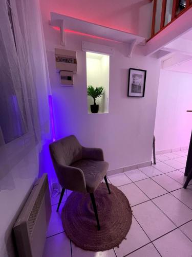 Le Duplex coeur de ville rue de bourgogne