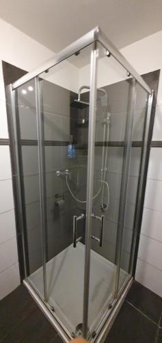a shower with a glass enclosure in a bathroom at SandA Apart-1 im EG mit Kostenlose Park in Bul, Bayern in Burglengenfeld