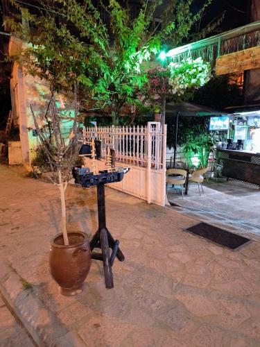 a potted tree in a pot next to a table at War Bunker Hostel in Sarandë