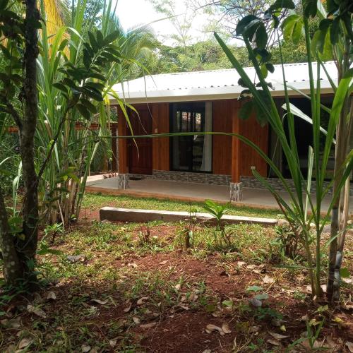 a house in the middle of a garden at House in Playa Carrillo in Tapantí