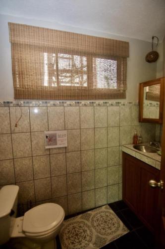 a bathroom with a toilet and a sink at Firefly Hilltop Retreat, Swimming Pool Volcano! in El Castillo de La Fortuna