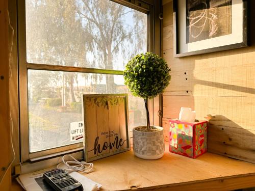 Galería fotográfica de The Magic Skoolie en Visalia