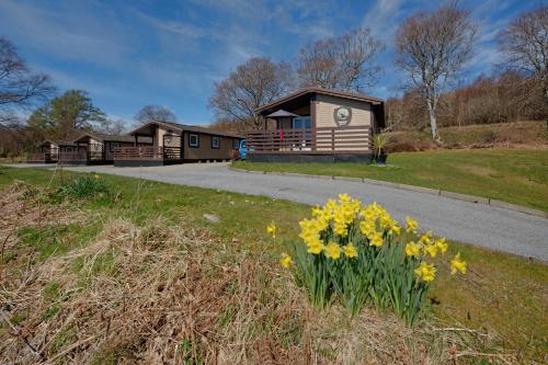 a group of houses with yellow flowers in the grass at Appin Holiday Homes -Caravans, Lodges, Shepherds Hut and Train Carriage stays in Appin