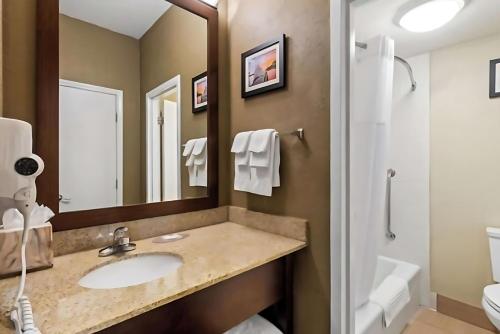 a bathroom with a sink and a toilet and a mirror at Comfort Inn Roswell-Dunwoody in Roswell