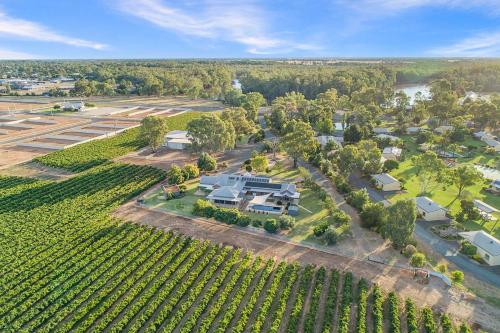 an aerial view of a estate with a vineyard at Nepeta Cataria Estate - Echuca Holiday Homes in Moama