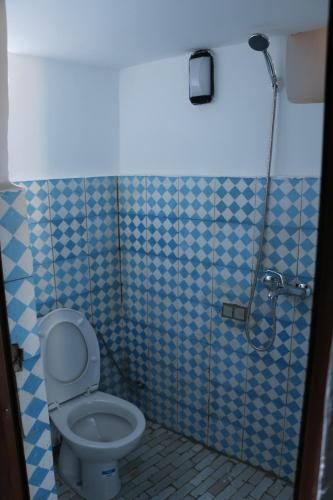 a bathroom with a toilet and a shower at Dawya terrace in Fez