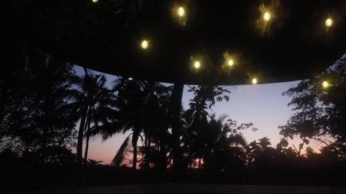 a group of lights in the sky with palm trees at Hostal Mardore beach in Tonosí
