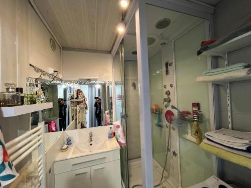 une salle de bain avec une douche, un lavabo et un miroir dans l'établissement Appartement T2 à Sète - Parking - Climatisation - FR-1-338-610, à Sète