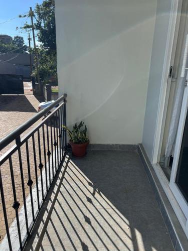 a porch with a fence and a potted plant at Licious Homes 1 in Nalakonge