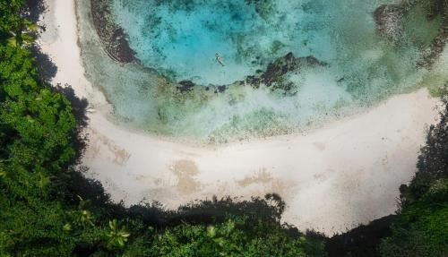 an aerial view of a beach and the ocean at Savasi Island Resort in Savusavu