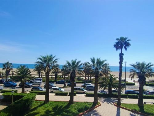 Canet-en-Roussillon - T2 rénové - 5 pers - Front de mer - FR-1-794-109