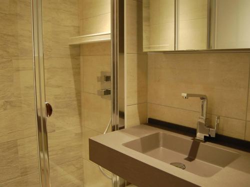 une salle de bain avec un lavabo et une douche dans l'établissement Charmant appartement 6 pers avec balcon sud au Grand-Bornand - FR-1-458-222, au Grand-Bornand