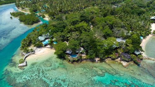 an aerial view of an island in the ocean at Savasi Island Resort in Savusavu