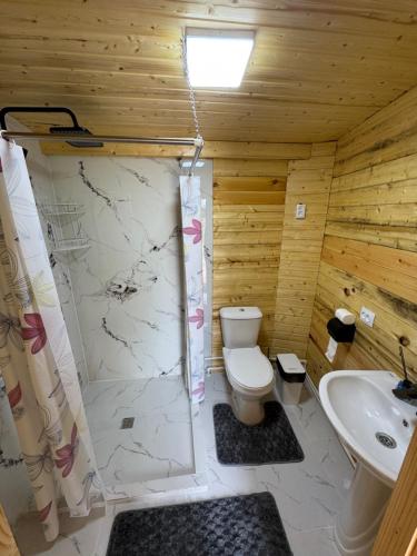 a bathroom with a toilet and a shower and a sink at Bosogo Yurt camp in Bokonbayevo