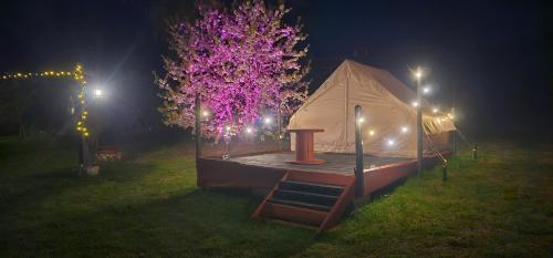 a tent in a field at night with lights at Lighthouse Benki in Užava