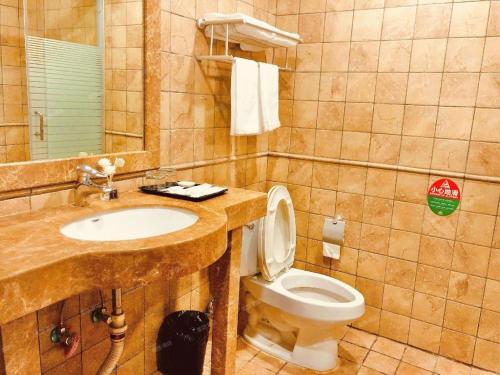 a bathroom with a sink and a toilet and a mirror at GreenTree Alliance Hotel Shanghai Baoshan District Meilan Lake Yueluo Road in Baoshan