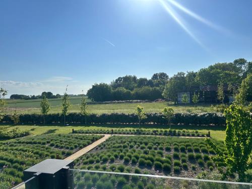 an overhead view of a garden with hedges at Suite Ouddorp - 2 pers in Ouddorp