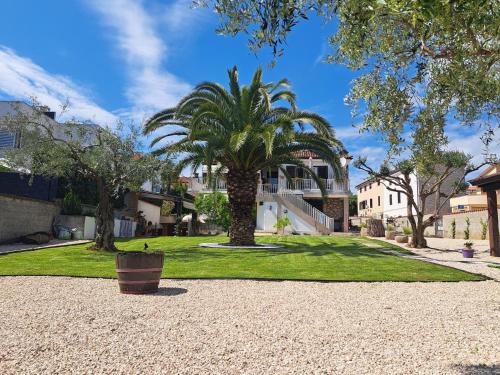 a palm tree in the middle of a yard at RIVA GARDEN relax in Novigrad Istria